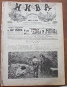 Журнал " Нива" № 48 1902 г