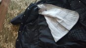 Новая куртка Швейцарской военной полиции черная р. L-XL