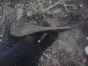 2012-03-21 07.59.18.jpg