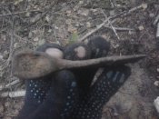 2012-03-21 07.59.27.jpg