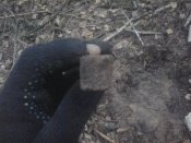 2012-03-21 07.59.34.jpg