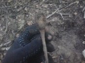 2012-03-21 07.59.39.jpg