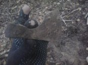 2012-03-21 07.59.50.jpg
