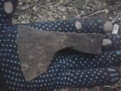 2012-03-21 08.00.03.jpg
