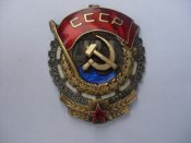 SDC13768.jpg