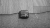 DSC02294.jpg
