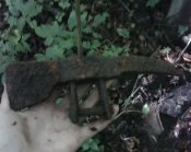 IMG0281A.jpg