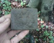 IMG0284A.jpg
