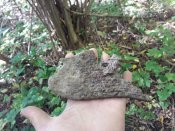 20181007_130938.jpg