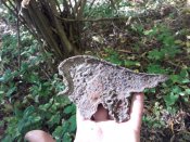 20181007_130943.jpg