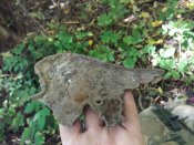 20181007_130947.jpg