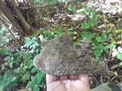 20181007_130953.jpg