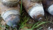 20181006_140031.jpg