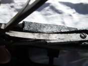 IMG_7264.JPG