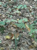 20181008_110111.jpg