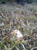 20181008_082529.jpg
