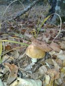 20181008_082833.jpg