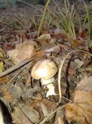 20181008_083005.jpg