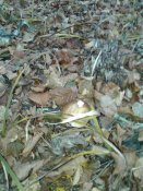 20181008_082809.jpg