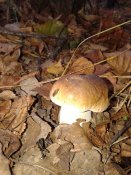 20181008_085100.jpg