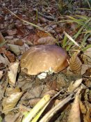 20181008_083410.jpg