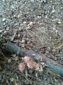 20181008_105147.jpg