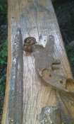 20181008_164854.jpg