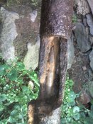IMG02283.jpg