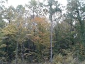 20181008_112145.jpg