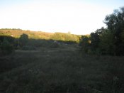 IMG_1872.JPG