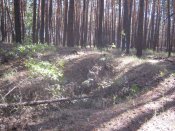 IMG_1890.JPG