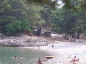 DSCF4694.jpg