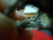 DSC07432.JPG