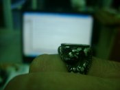 DSC07437.JPG
