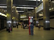 IMG_5392.jpg