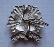 Знак-кокарда Járőrparancsnok Старший пограничного наряда Венгрия