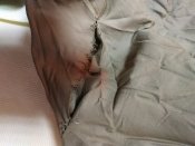 IMG_20181009_170058.jpg