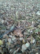 20181010_090819.jpg
