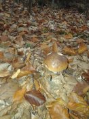 20181010_094853.jpg
