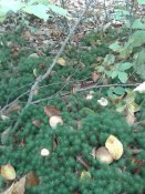20181010_101151.jpg