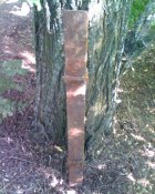 IMG2187A.jpg