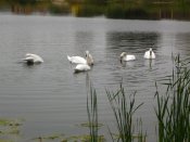 IMG_0014.JPG