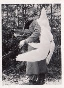 Schwan.jpg