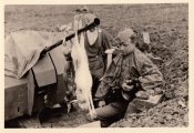 PPSch-41.jpg