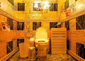 golden-toilet_1.jpg