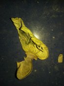 20181009_180727.jpg