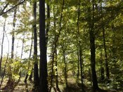20181011_105950.jpg