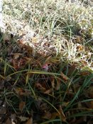 20181011_105920.jpg