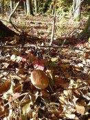 20181011_103323.jpg