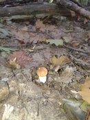 20181011_101058.jpg